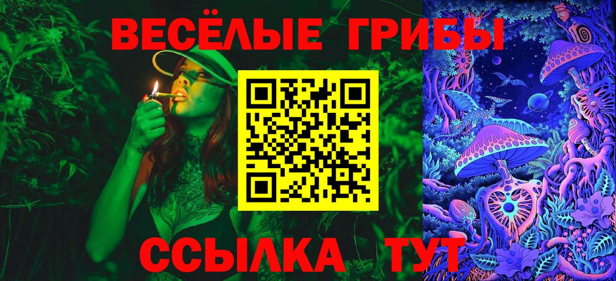 Галлюциногенные грибы Psilocybe Асбест